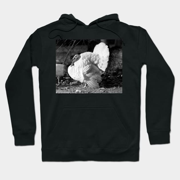 Black and White Turkey Hoodie by Bravuramedia